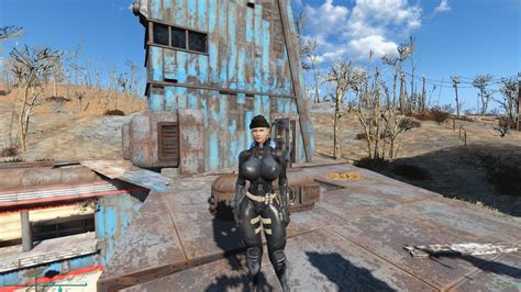 fallout 4 unique player|fallout 4 cbbe player only.